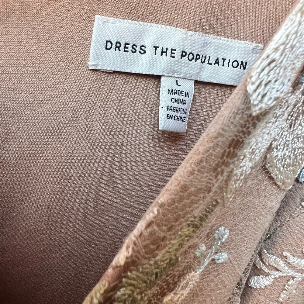 Dress the Population Blush Floral Embroidered Tulle Long Dress - Picture 2 of 16